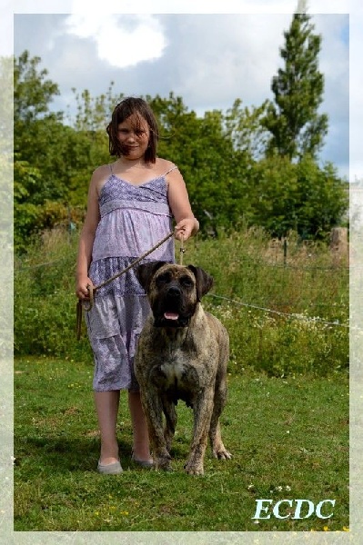 Publication : El Corazon Del Cazador Auteur : corazon del cazador