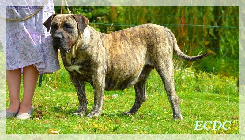 Fuente des Terres d'Europe