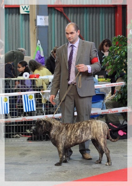 Hoana El Corazon Del Cazador - 1ere excellente & Meilleur jeune de race