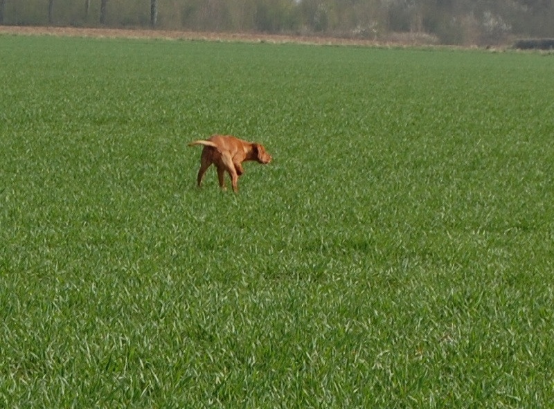 Devinette du fond de chouck