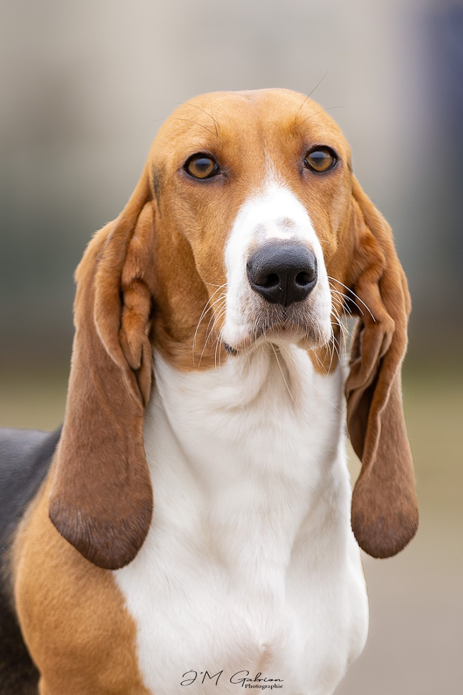 Vaillante Des terres du doux lieu