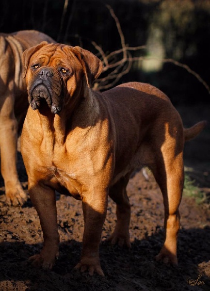 Publication : De la tour gelee