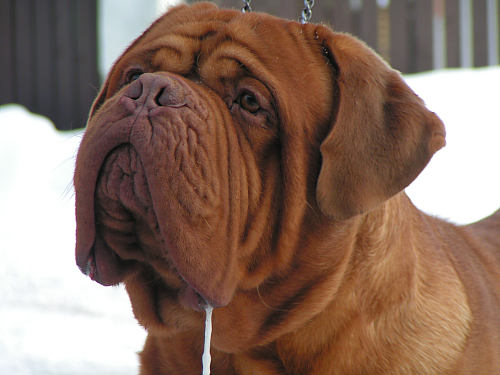 Publication : De la tour gelee