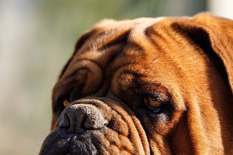 Publication : De la tour gelee