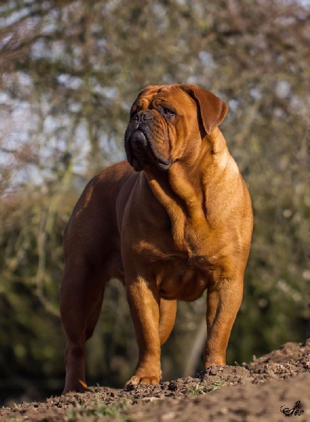 Publication : De la tour gelee