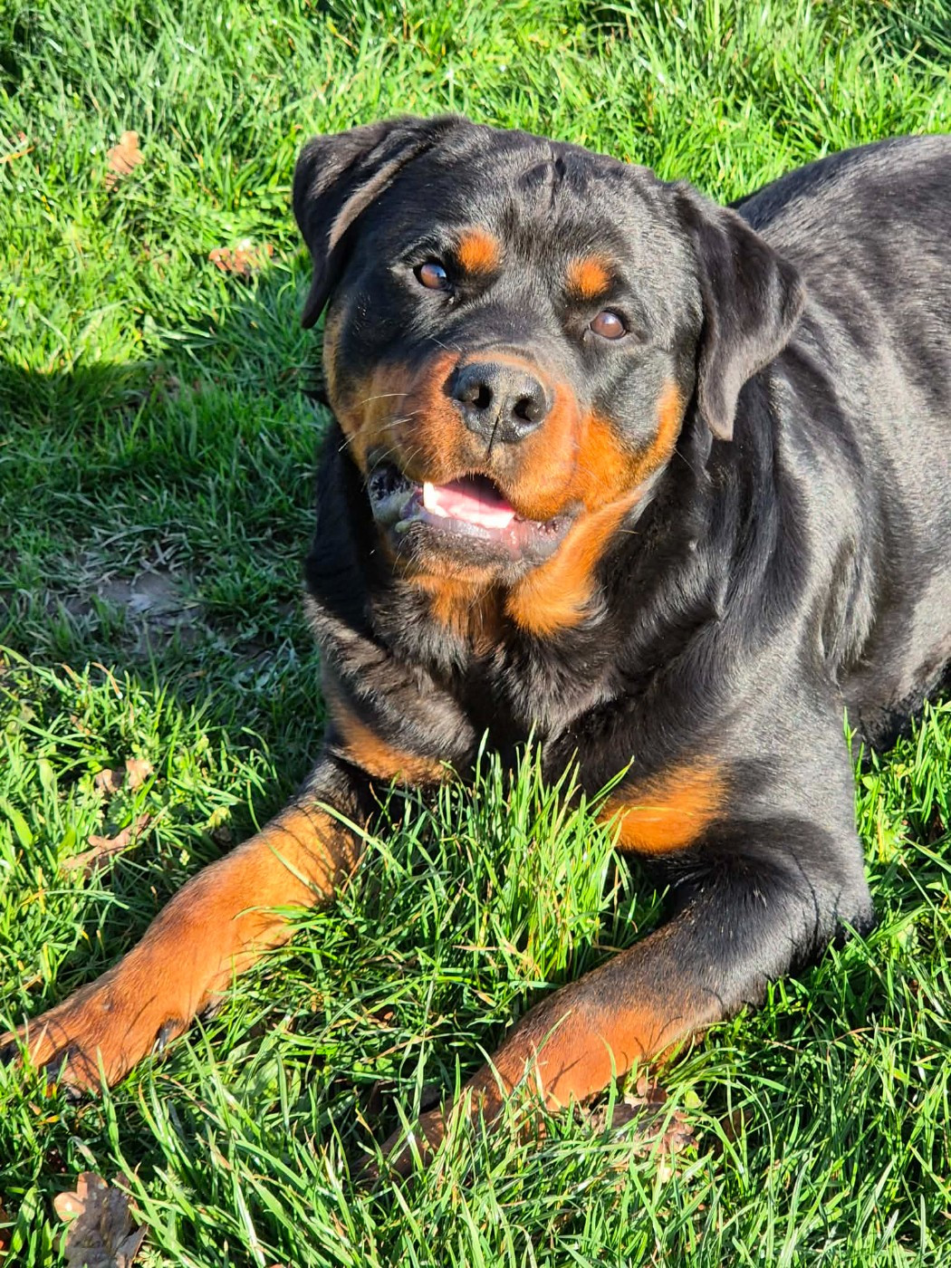 Publication : des gardiens de feu Auteur : Des gardiens de feu