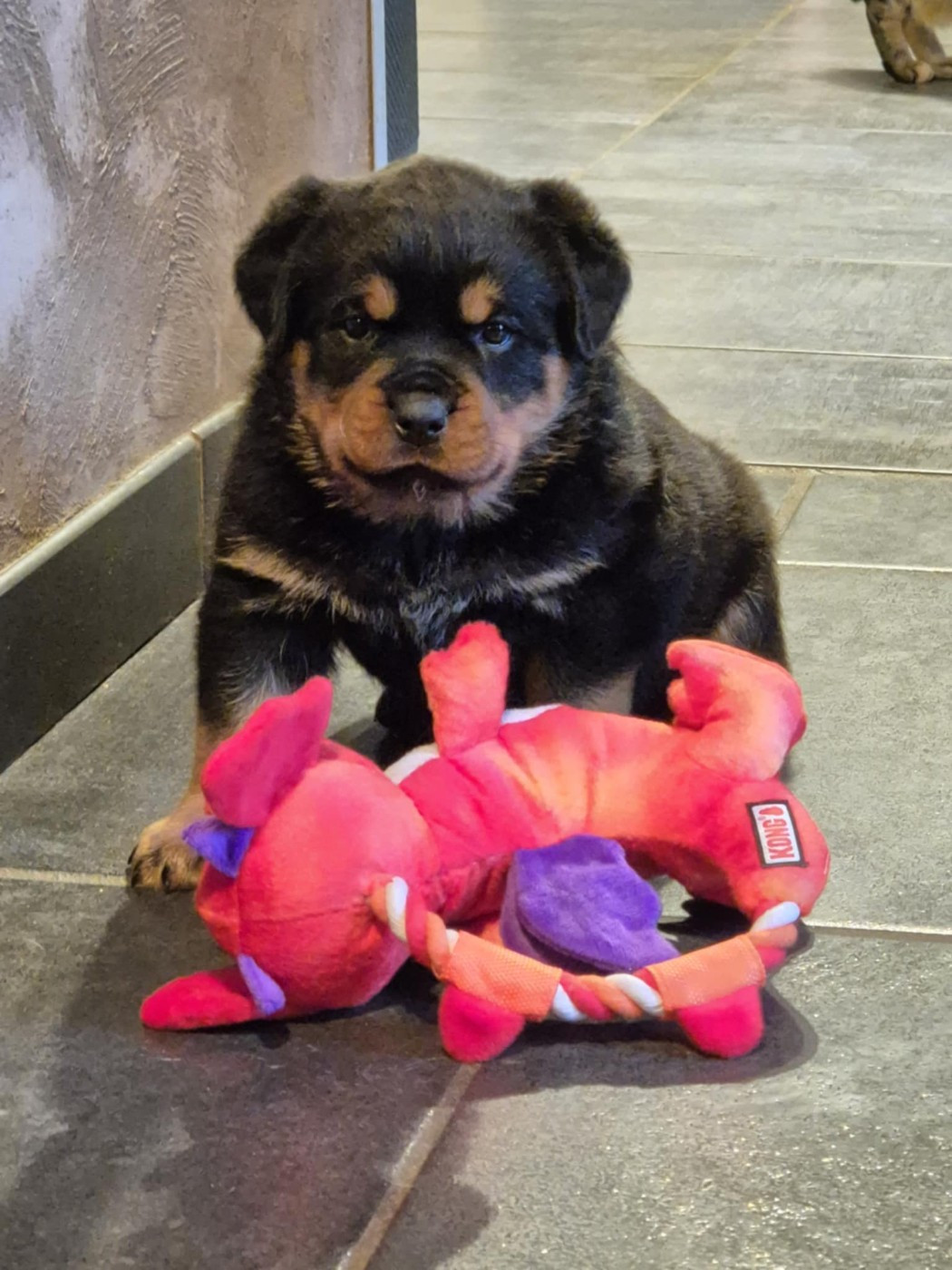 Publication : des gardiens de feu Auteur : Des gardiens de feu