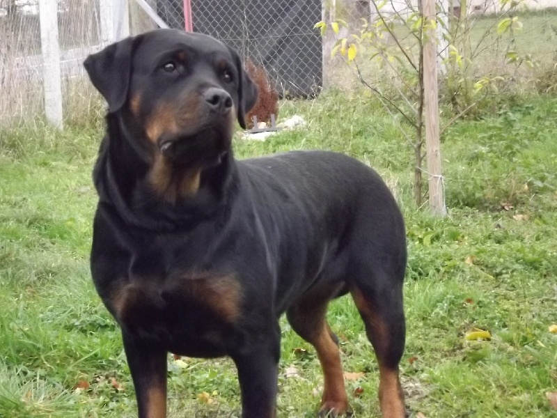 Publication : des gardiens de feu Auteur : gardiensdefeu