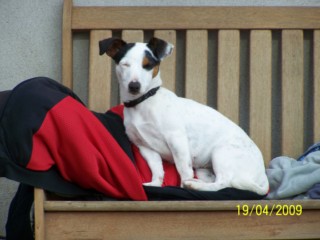 Publication : des gardiens de feu Auteur : les gardiens de feu