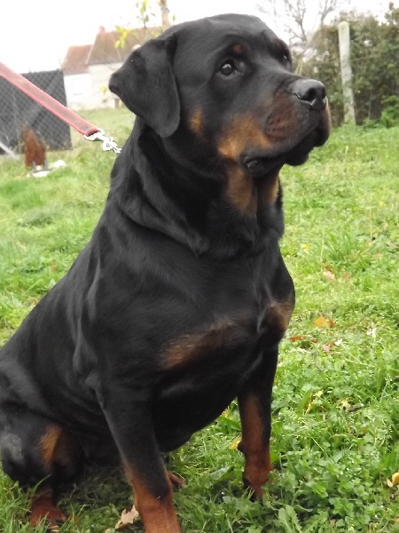 Publication : des gardiens de feu Auteur : gardiensdefeu