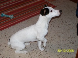 Publication : des gardiens de feu Auteur : les gardiens de feu