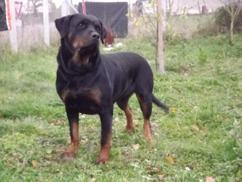 Publication : des gardiens de feu Auteur : gardiensdefeu