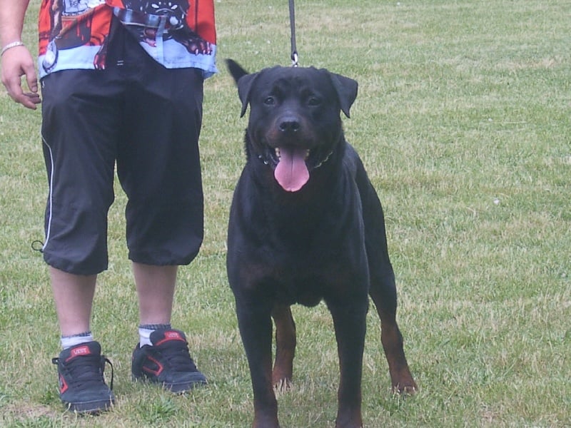 Ulf vom Kathrinenhof