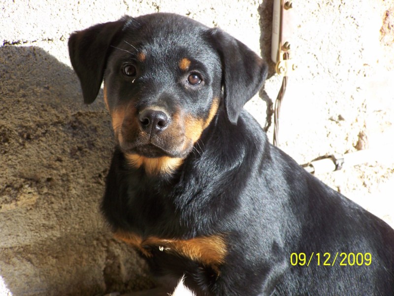 Publication : des gardiens de feu Auteur : gardiensdefeu