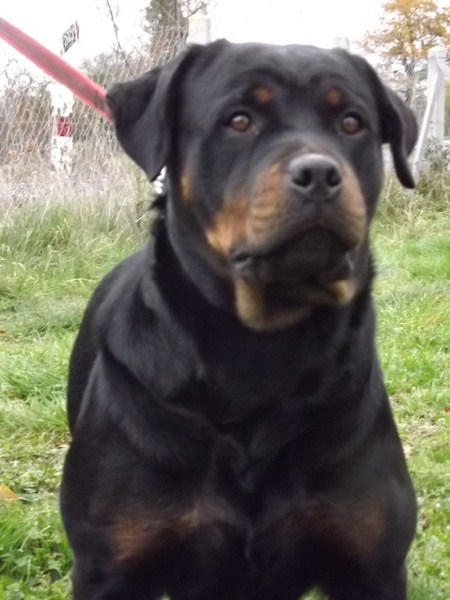 Publication : des gardiens de feu Auteur : gardiensdefeu