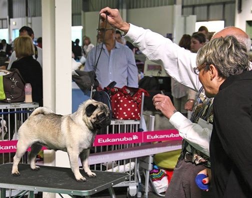 Publication : de Aazard'Jat Auteur : REGNAULT