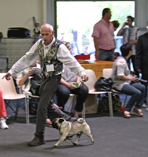 Publication : de Aazard'Jat Auteur : REGNAULT