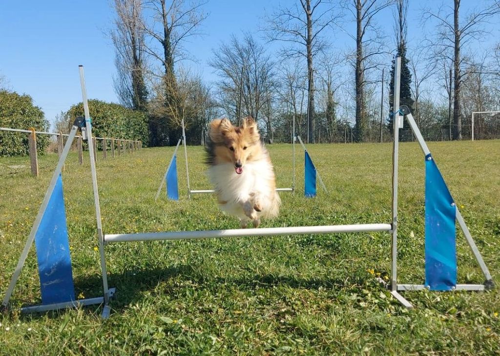 Remember raziel dit roploplo Des petites fées des sables