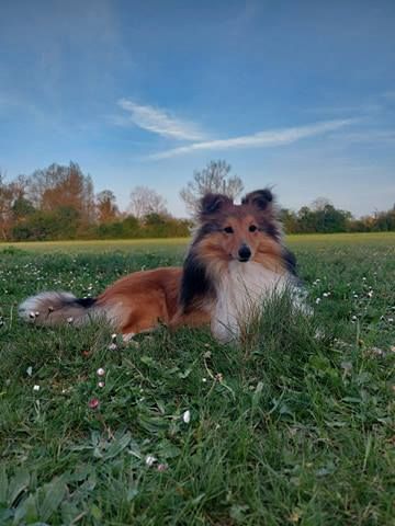 Remember raziel dit roploplo Des petites fées des sables