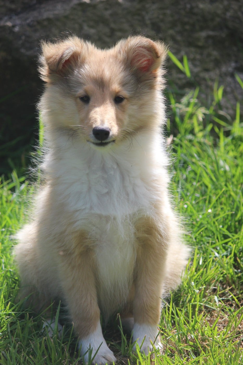 Bella (nom provisoire)