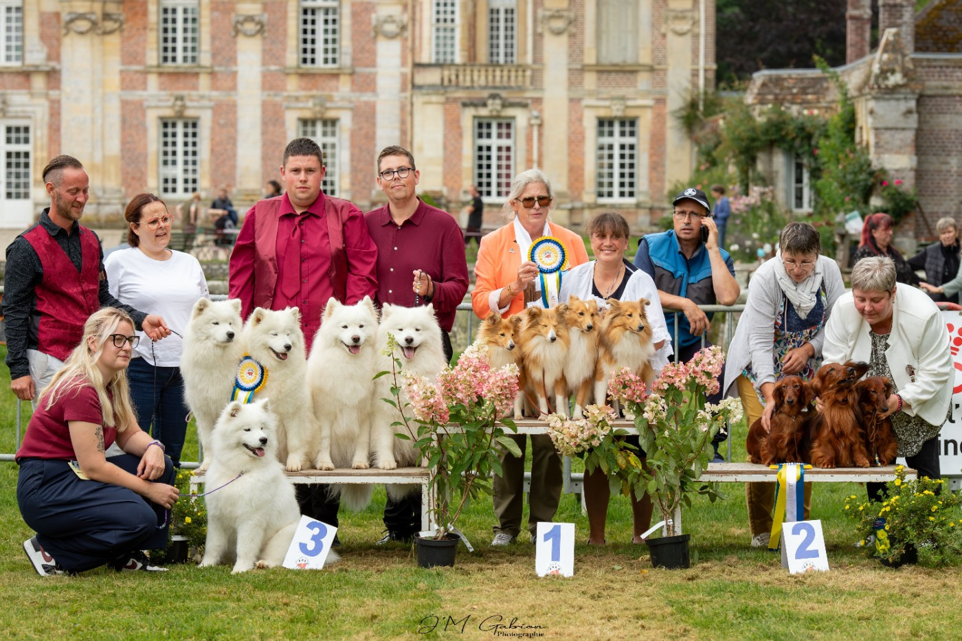 Velvet Des petites fées des sables - 1er MEILLEUR LOT D'AFFIXE de l'Exposition