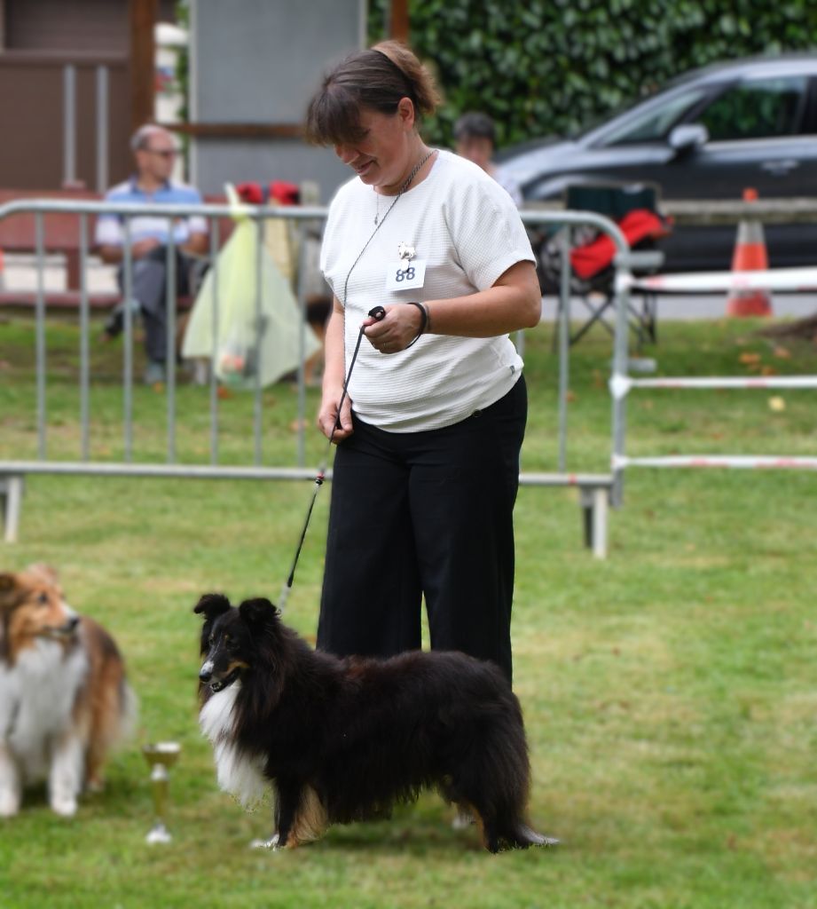 Myrtille Des petites fées des sables - Excellent