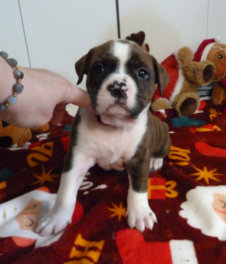 Ayona Unduroy des terres de groie