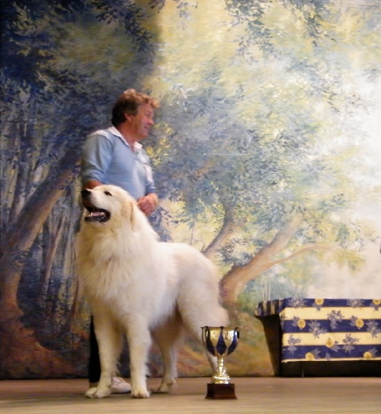 Berger De la cascade de couplan - 3ème