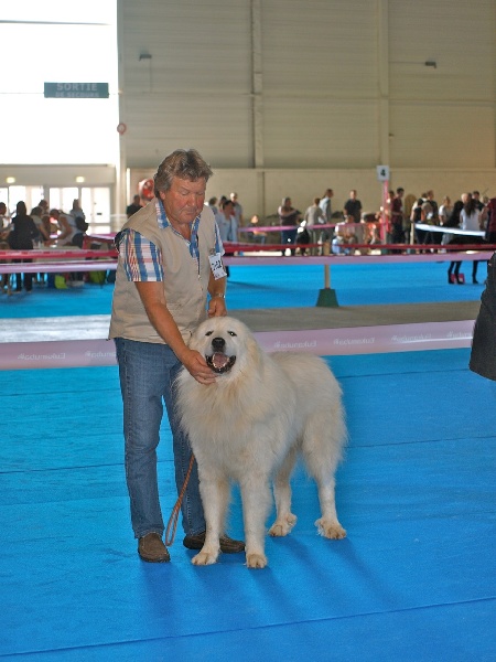 Berger De la cascade de couplan - 3ème Excellent Classe Ouverte Mâle