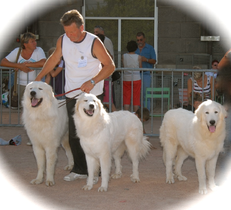 Berger De la cascade de couplan - 2ème MEILLEUR COUPLE avec Ch. BIGORRE DE LA CASCADE DE COUPLAN