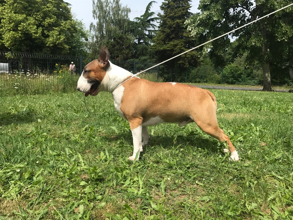 Amjel Live long and prospere - 3eme exclt.