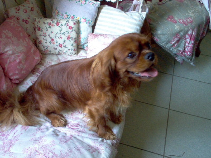 Publication : Carham