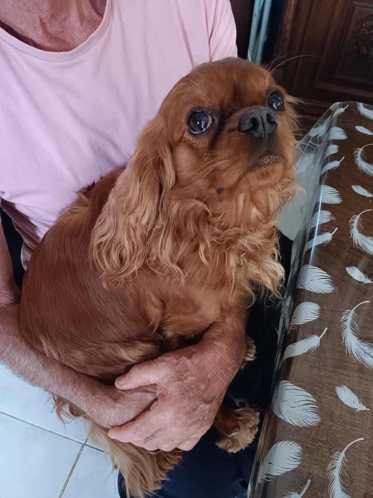 Top model Of Rapsody Queen