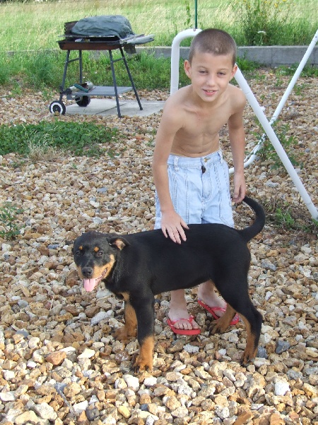 Publication : du domaine de Baïka Auteur : Lagarde L.