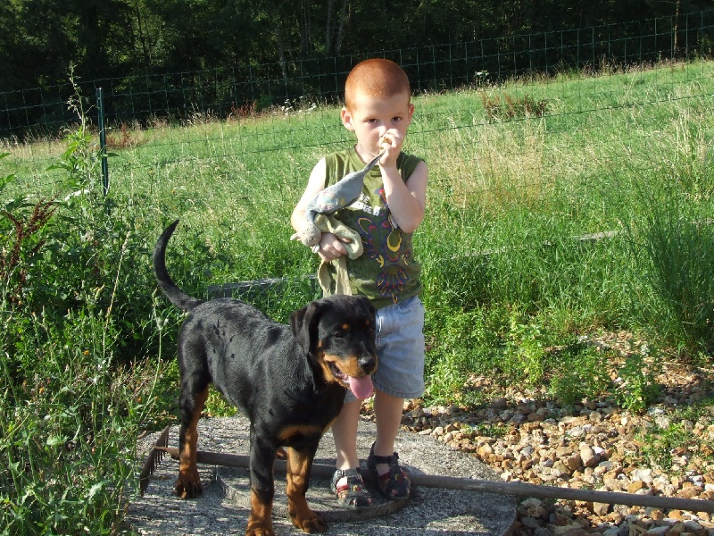 Publication : du domaine de Baïka Auteur : Lagarde L.