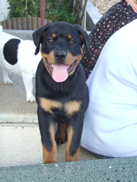 Publication : du domaine de Baïka Auteur : Lagarde L.