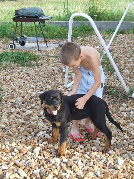 Publication : du domaine de Baïka Auteur : Lagarde L.