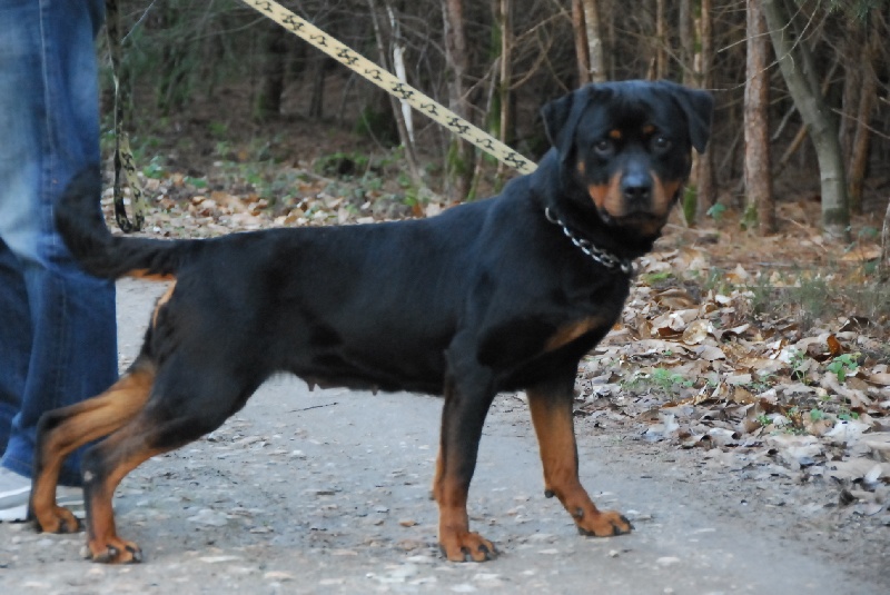 Publication : du domaine de Baïka Auteur : Lagarde L.