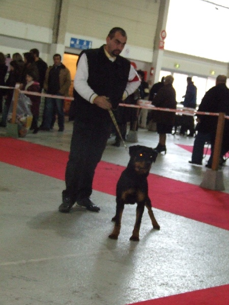 Chelsea du domaine de Baïka - Très prometteuse