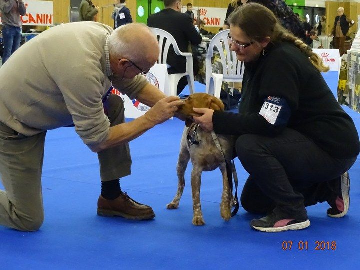 Néfertiti du domaine de Baïka - Très Prometteur, Meilleur Puppy