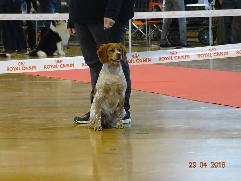 Néfertiti du domaine de Baïka - 4ème Excellent