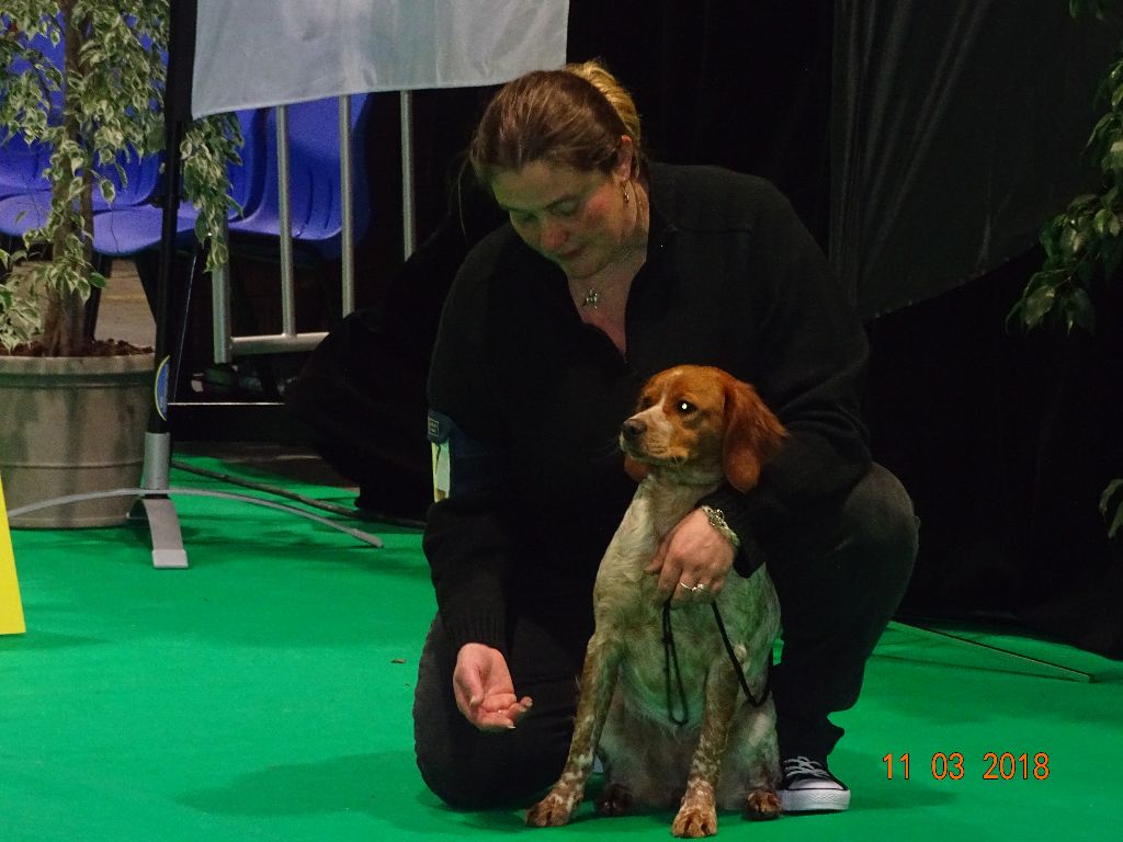 Néfertiti du domaine de Baïka - 2ème Excellent