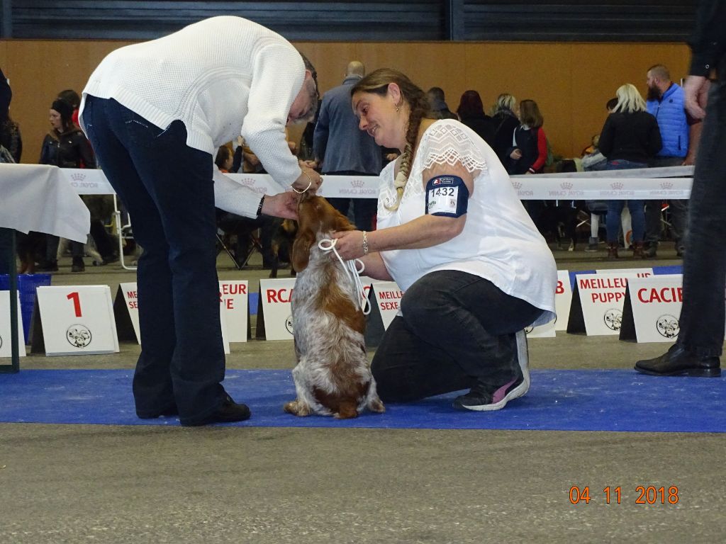 Néfertiti du domaine de Baïka - 3ème Excellent