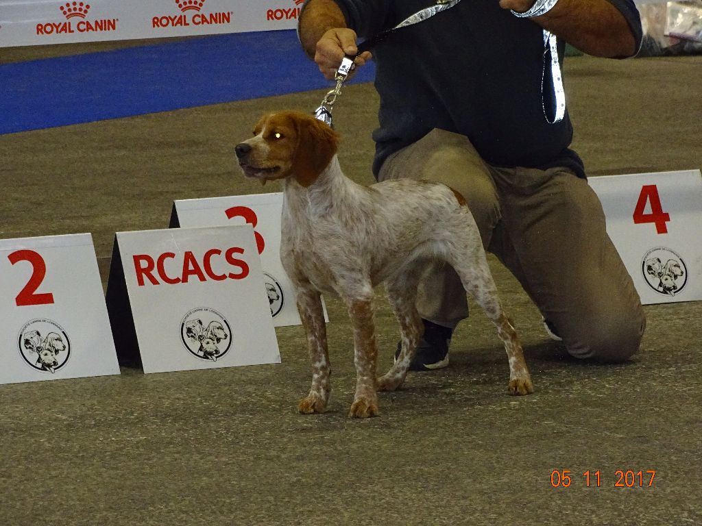 Néfertiti du domaine de Baïka - Très Prometteur