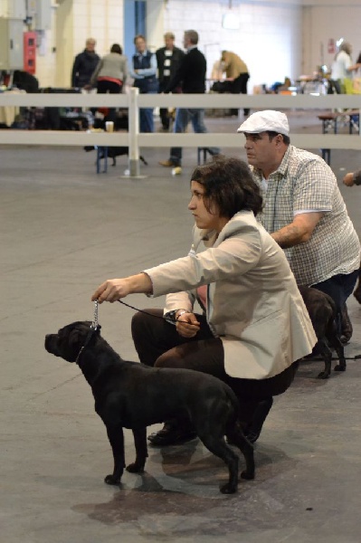 crudha Breizh izel - 2nd Limit class