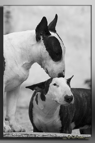 So Addictive Devil in' side