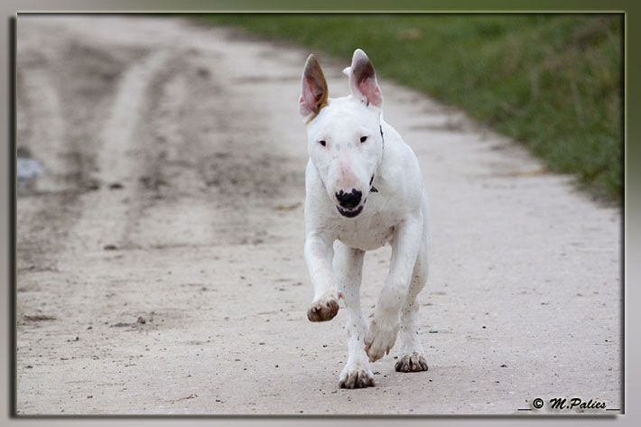 So Addictive Gem blaze