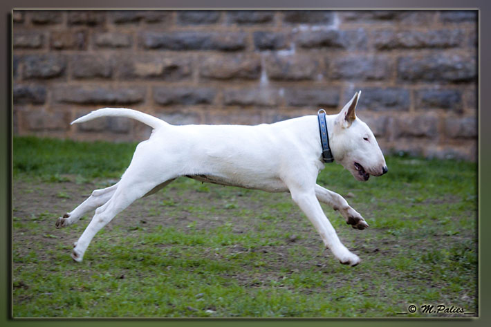 So Addictive Gem blaze