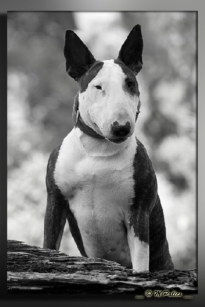 So Addictive Devil in' side