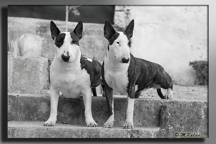 So Addictive Devil in' side